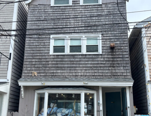 White Seagull Gallery