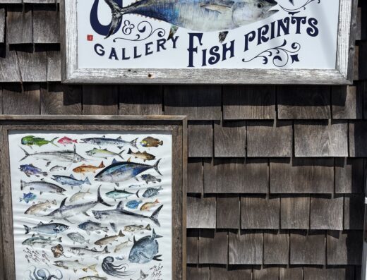 Joe’s Fresh Fish Prints